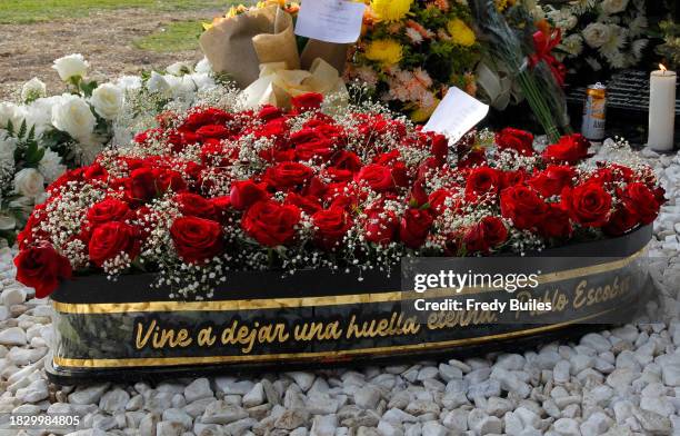 Branch of flowers is seen at Pablo Escobar's grave at Jardines Montesacro cementery during 30th anniversary of the late Colombian drug trafficker...