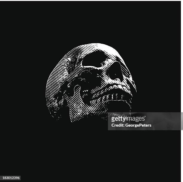 ilustraciones, imágenes clip art, dibujos animados e iconos de stock de cráneo grabado sobre fondo negro - human skull