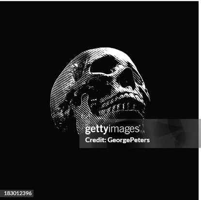 Skull Engraving On Black Background Skull Engraving On Black Background