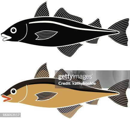 Haddock Haddock