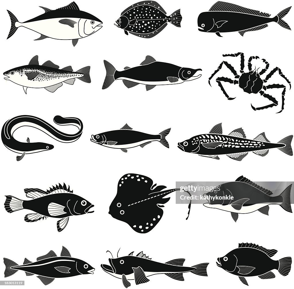 Black saltwater fish icons on white background