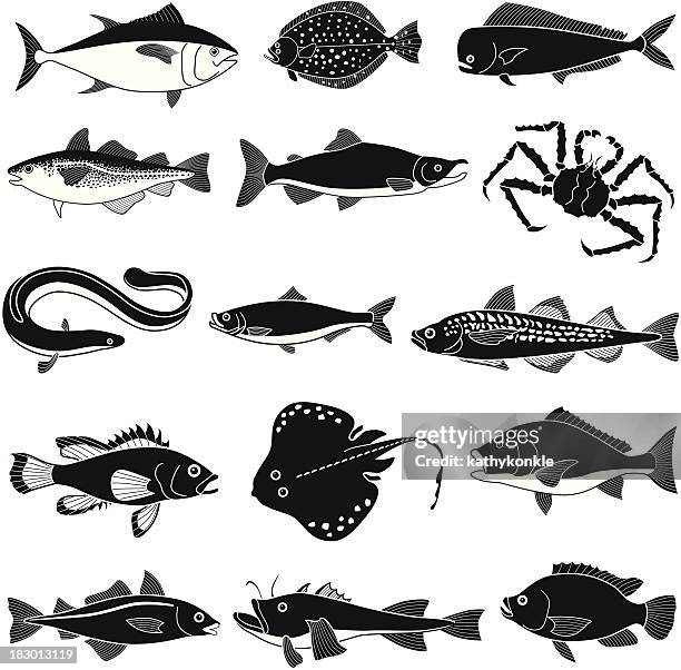 black saltwater fish icons on white background - flounder stock illustrations