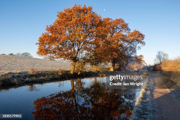 holding on - shropshire stock pictures, royalty-free photos & images