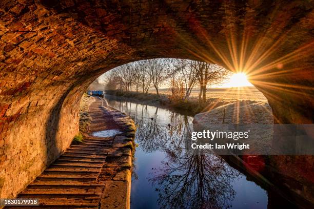 Ian Rios 4.684 Ian Rios Stock Photos, High-Res Pictures, and Images - Getty Images