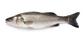 Sea Bass with Clipping Path