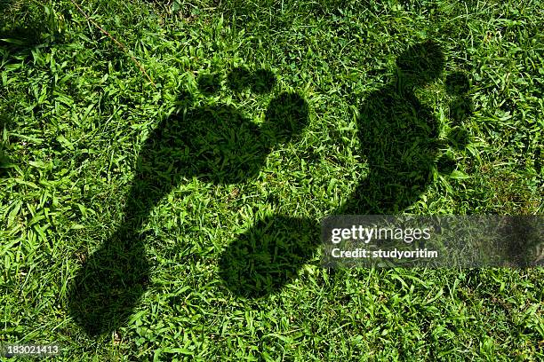 carbon footprint imprinted in the grass - green footprint stock pictures, royalty-free photos & images