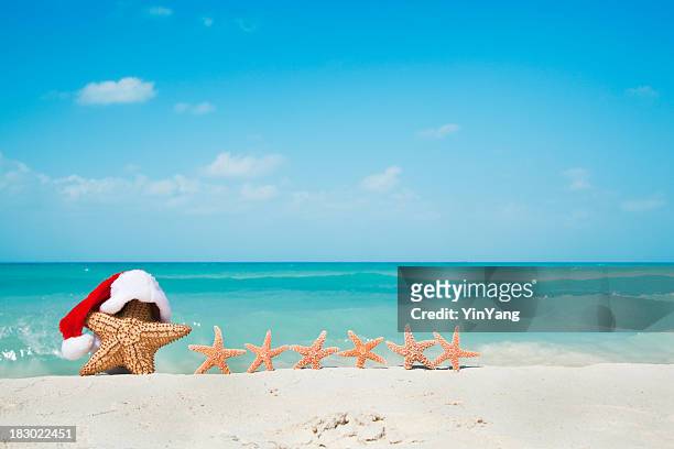 christmas vacation starfish family on the carribean beach - caribbean christmas 個照片及圖片檔