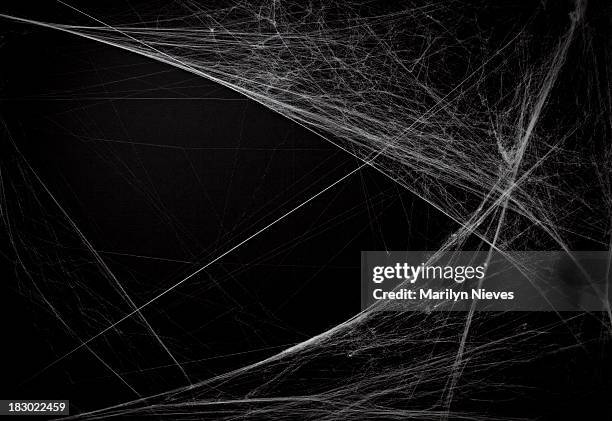 hintergrund mit cobwebs - spider web stock-fotos und bilder