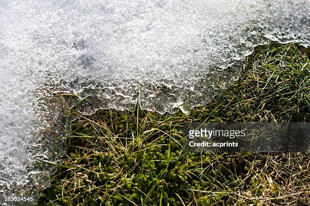 melting snow and ice - snow on grass stock pictures, royalty-free photos & images