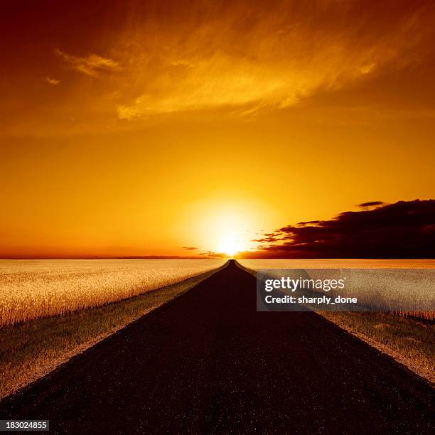 xxxl ländliche straße bei sonnenuntergang - alberta farm scene stock-fotos und bilder