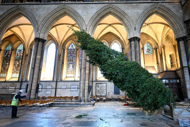 GBR: Christmas Tree Installed At Salisbury Cathedral