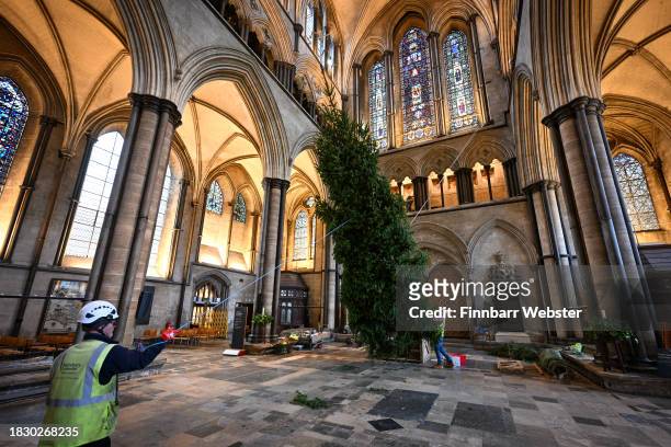 The Cathedral's Works Yard team install the Christmas tree at Salisbury Cathedral on December 04, 2023 in Salisbury, England. The 32-ft Norway...