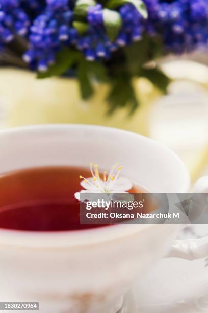 Vintage Cup Tea Near Spring Flowers, Stockfoto