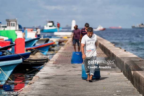 Fisherman drag buckets of fish into the fish market in Male, Maldives on December 05, 2023. Male, is the capital of the Maldives, an island country...