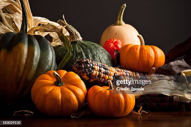 cosecha de otoño cornucopia - maíz criollo fotografías e imágenes de stock