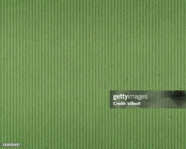 texture de papier vert avec des lignes verticales - feuille verte photos et images de collection