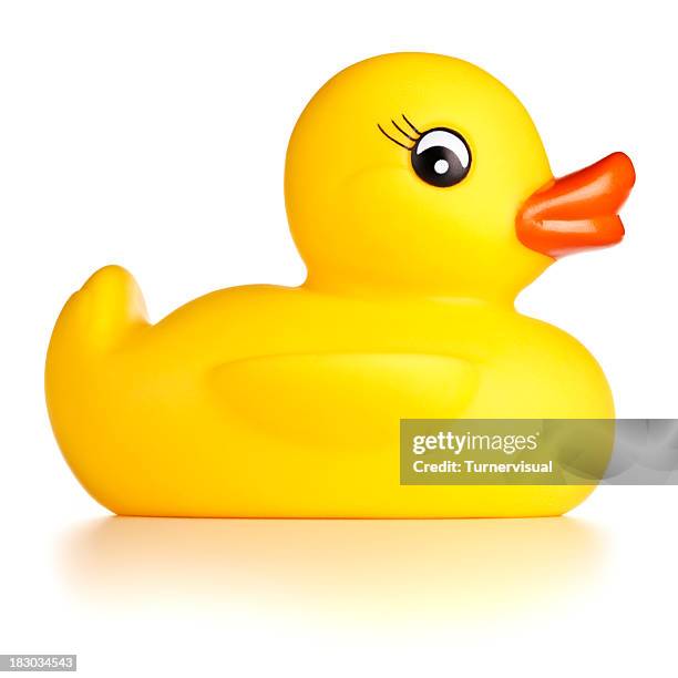 rubber duck + clipping path - rubber duck stock pictures, royalty-free photos & images