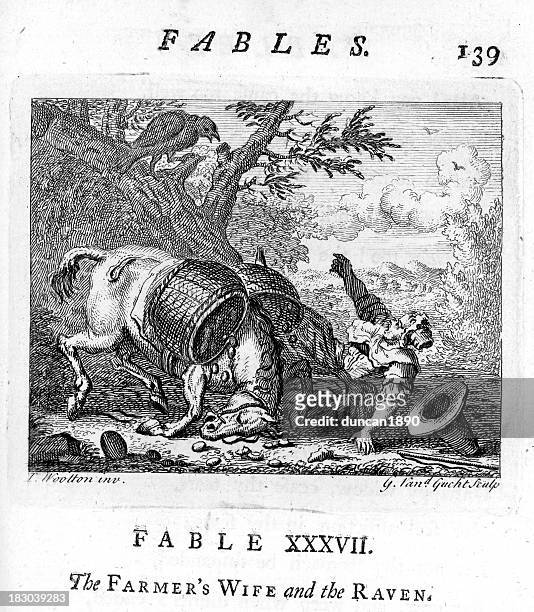 fable farmers wife and the raven - farmer wife stock illustrations