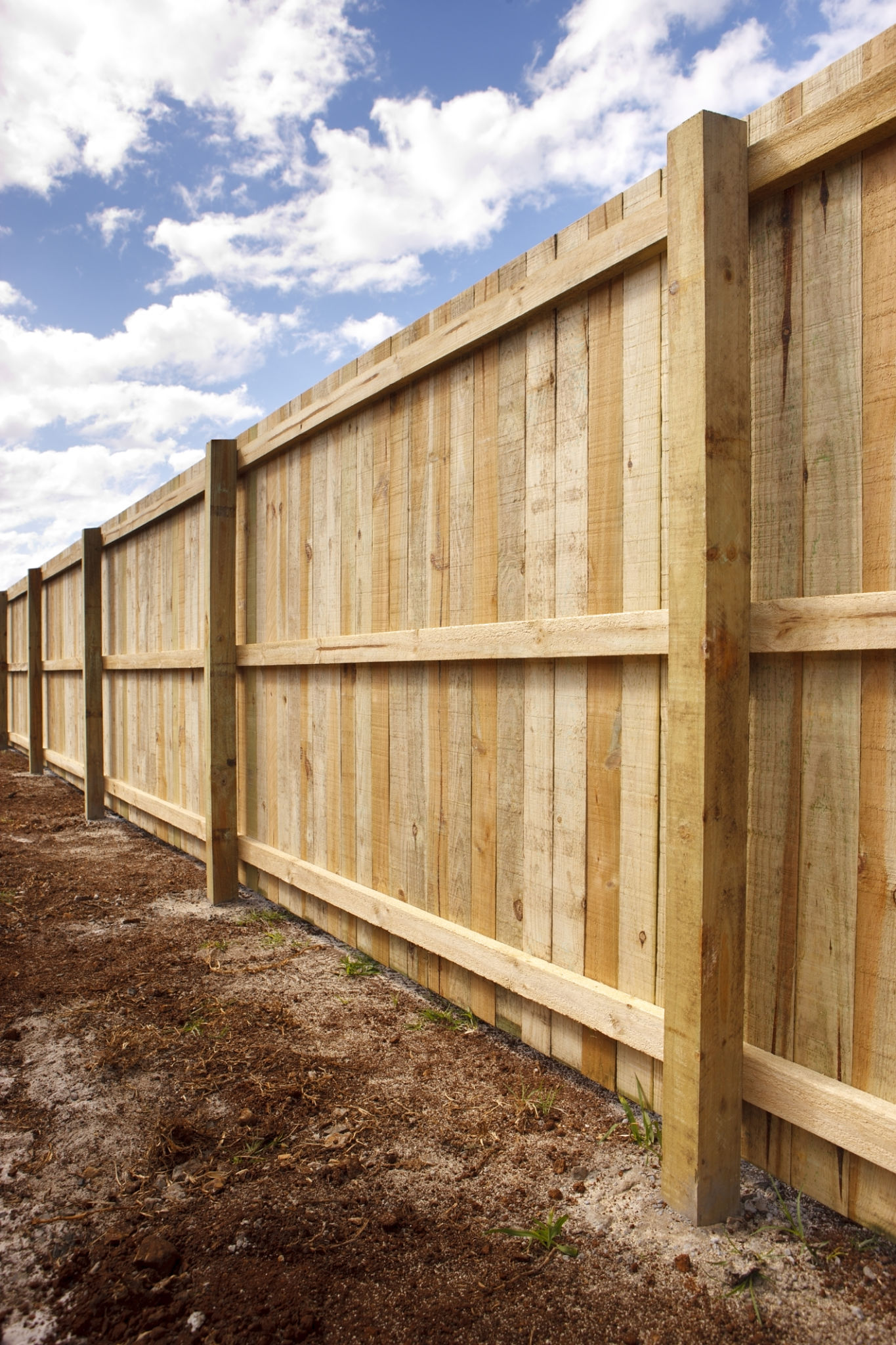 wooden fence inspection