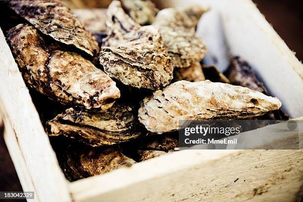 oysters box - krat stockfoto's en -beelden