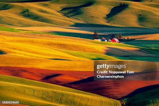 the red barn and the rolling hills in palouse, washington, usa - palouse stock pictures, royalty-free photos & images