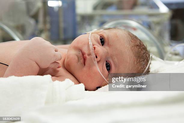 recém-nascido no hospital - incubator imagens e fotografias de stock