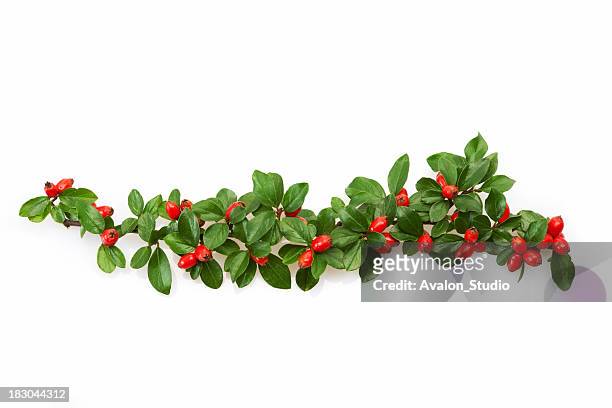 christmas decoration with red berries - twig stock pictures, royalty-free photos & images