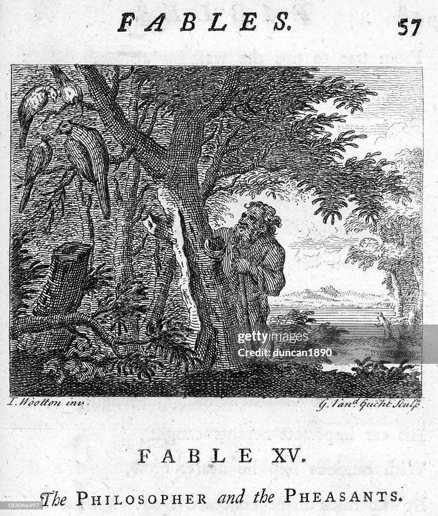 Philosopher and the pheasants