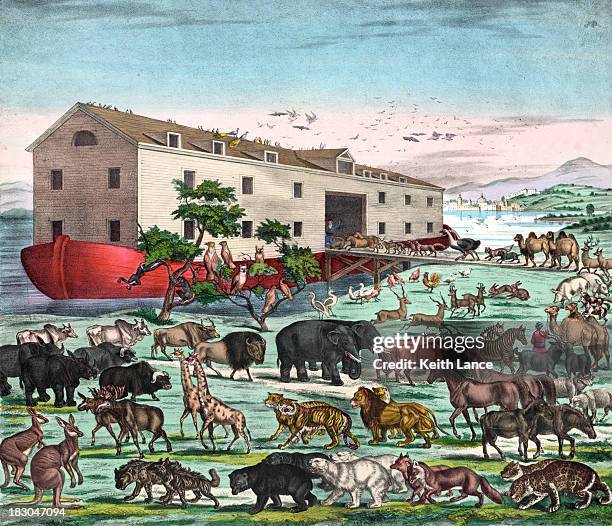 ilustrações de stock, clip art, desenhos animados e ícones de vintage ilustração de noah's ark - arca