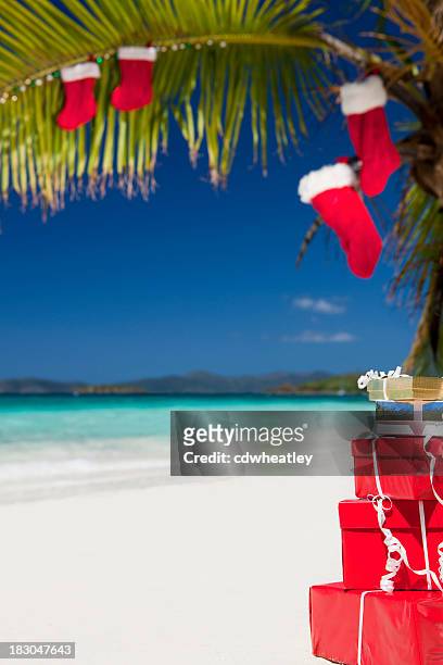 christmas at a caribbean beach - caribbean christmas 個照片及圖片檔