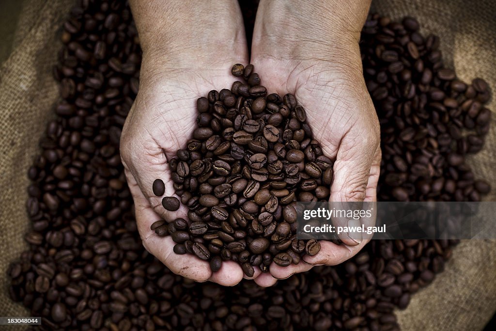 Manos ahuecadas holding coffee beans