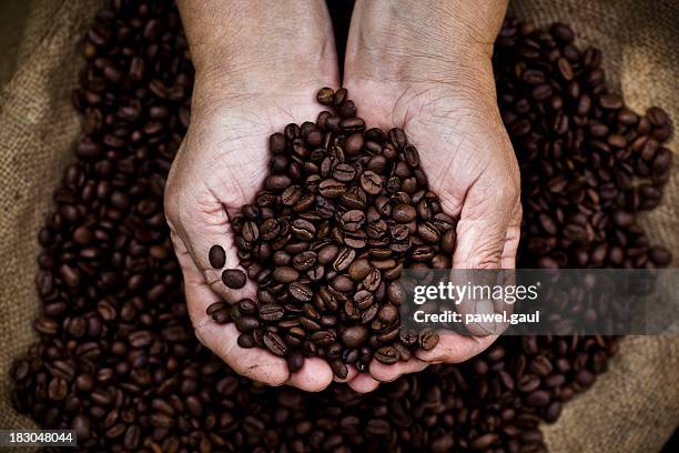 cupped hands holding coffee beans - coffee bag stock pictures, royalty-free photos & images