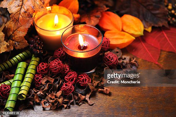 autumn decoration - winter cherry stock pictures, royalty-free photos & images