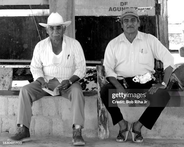 Todos Santos residents and fishermen Luis Nunez, 72 and his brother Manuel Nunez, 73 wait for the catch of the day to arrive by panga boats at Playa...