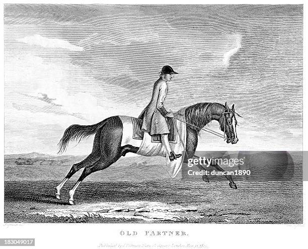 stockillustraties, clipart, cartoons en iconen met the thoroughbred racehorse sherwood - military