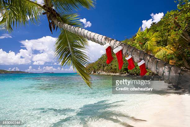 weihnachts-dekorationen auf einer palme am strand am karibischen meer - christmas palm tree stock-fotos und bilder
