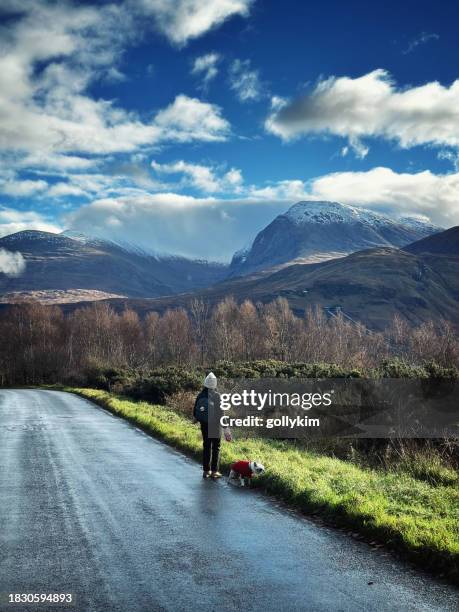 woman walking dog on road with stunning view of distant mountain ben nevis - summit stock pictures, royalty-free photos & images