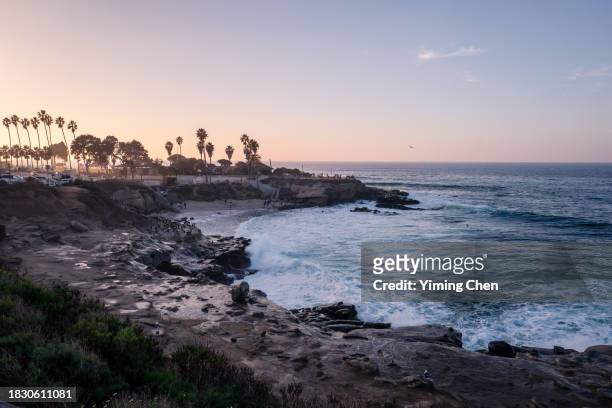 la jolla cove in dusk - la jolla marine reserve stock pictures, royalty-free photos & images