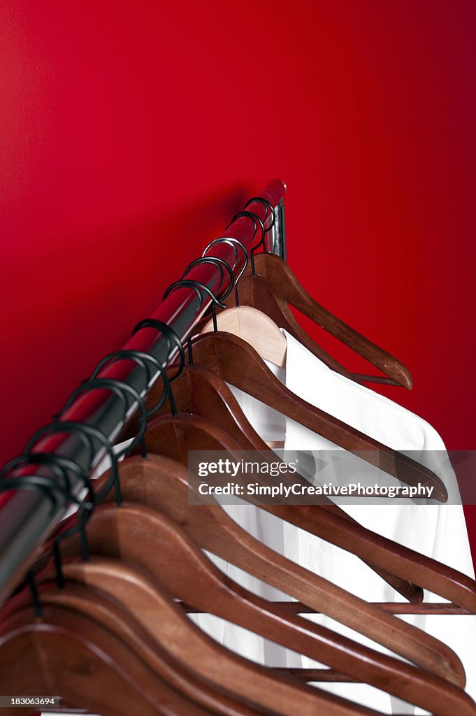 Elegant clothing organizer hung on red wall.