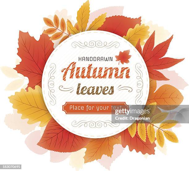 autumn leaves design - maple leaf white background stock illustrations