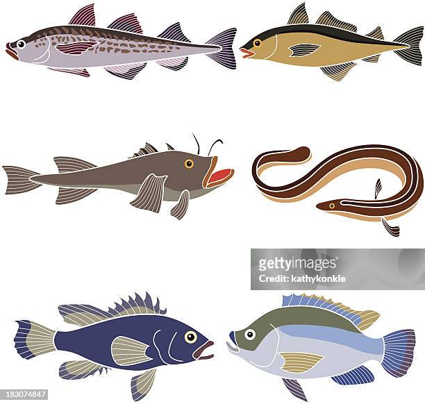 ocean fische - monkfish stock-grafiken, -clipart, -cartoons und -symbole