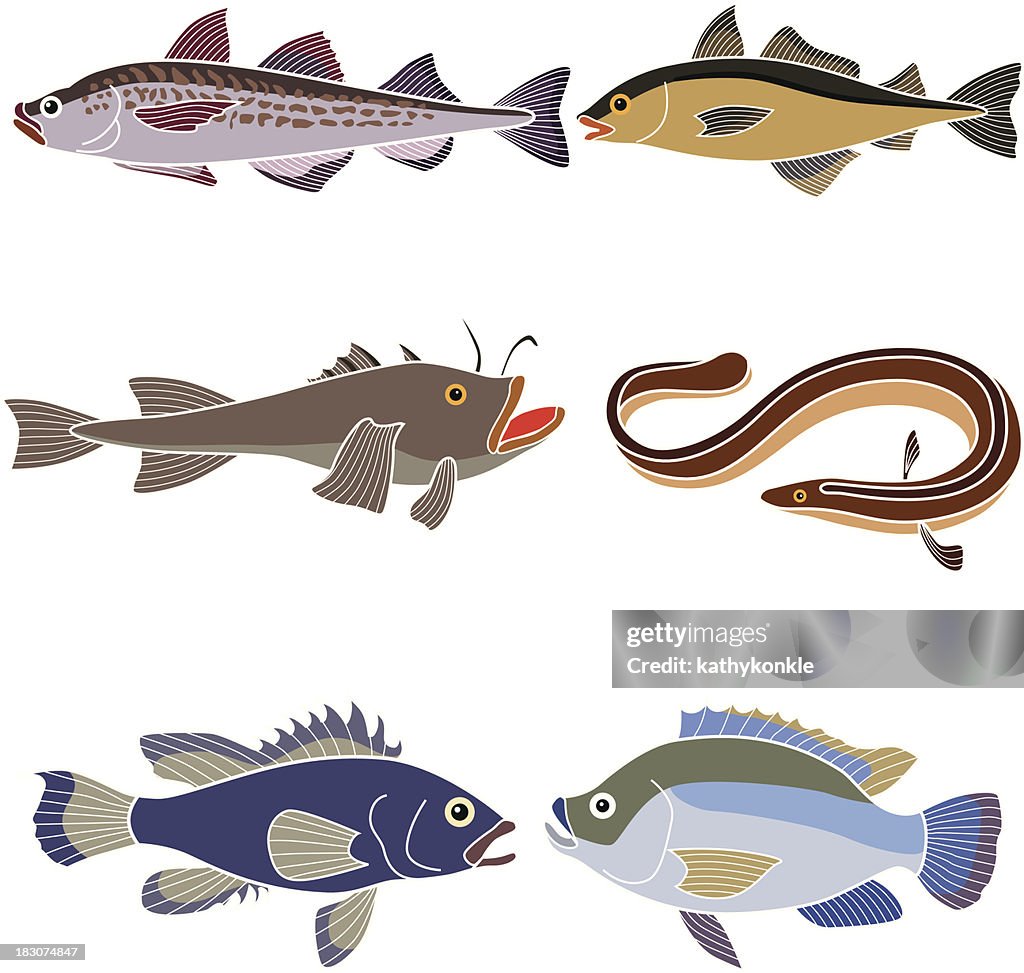 Ocean fish