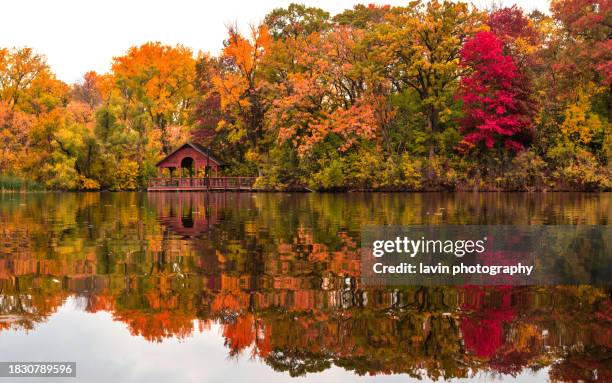 fall reflections eagan - minnesota stock pictures, royalty-free photos & images