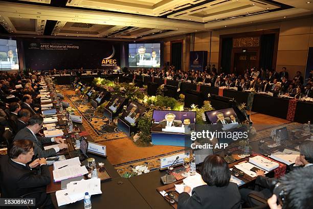 Indonesian Foreign Minister Marty Natalegawa addresses the opening of the Asia Pacific Economic Cooperation ministerial meeting in Nusa Dua on the...