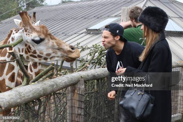Lucy Watson and Andy Jordan are pictured feeding the giraffes and watching the penguins at ZSL London Zoo on October 4, 2013 in London, England.