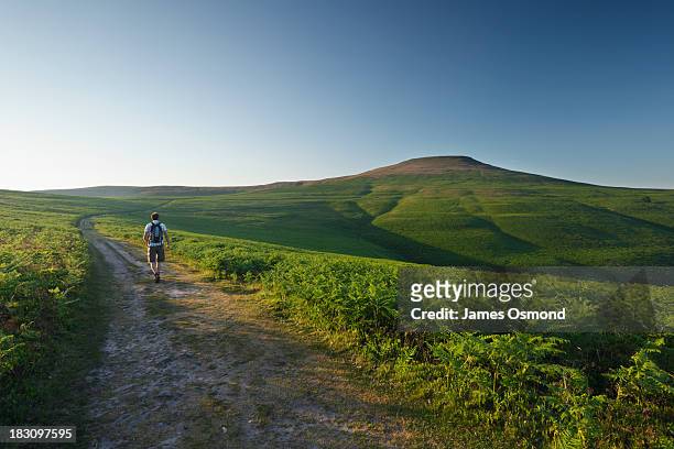 summer evening walk - brecon beacons national park stock pictures, royalty-free photos & images