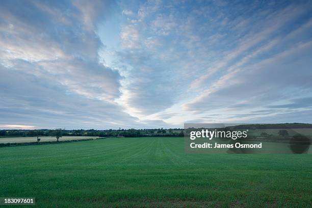 historic battlefield - northants stock pictures, royalty-free photos & images