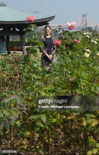 Crown Princess Victoria of Sweden visits The United Nations at the United Nations on October 4, 2013 in New York City.