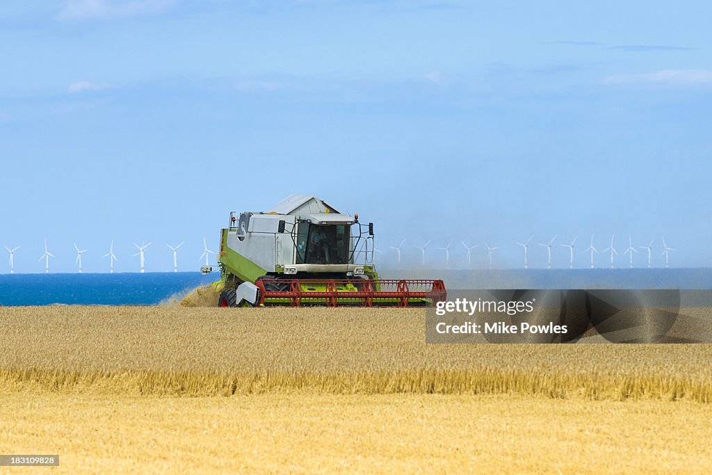 Harvesting barley with wind farm in background