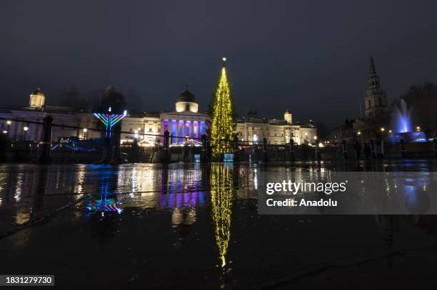 The Christmas tree, brought from Norway, is illuminated during the ceremony at Trafalgar Square in London, United Kingdom on December 7, 2023.